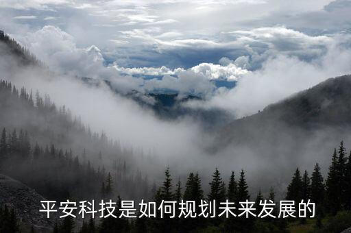  平安科技是如何規(guī)劃未來發(fā)展的