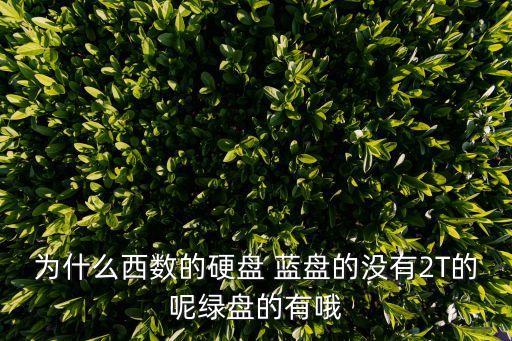 西部數(shù)據(jù)藍(lán)盤2t卡