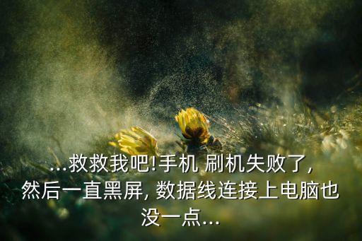刷機(jī)后插數(shù)據(jù)線沒反應(yīng),蘋果數(shù)據(jù)線插上沒反應(yīng),不充電