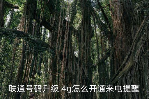 聯(lián)通號碼升級 4g怎么開通來電提醒