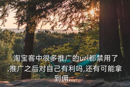  淘寶客中很多推廣的url都禁用了,推廣之后對(duì)自己有利嗎,還有可能拿到傭...