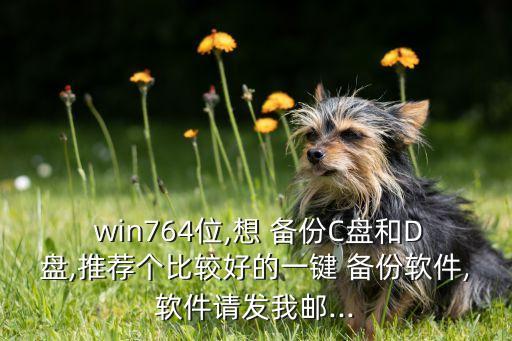  win764位,想 備份C盤和D盤,推薦個(gè)比較好的一鍵 備份軟件,軟件請(qǐng)發(fā)我郵...