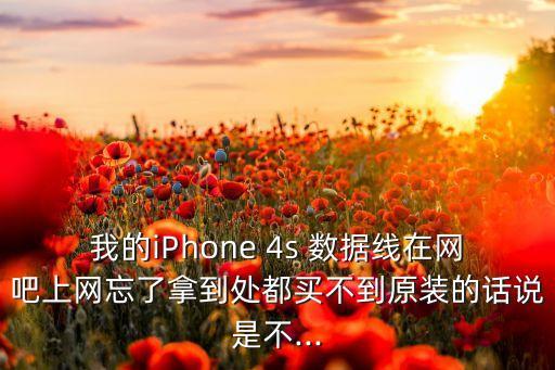 我的iPhone 4s 數(shù)據(jù)線在網(wǎng)吧上網(wǎng)忘了拿到處都買不到原裝的話說(shuō)是不...