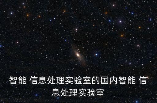 智能 信息處理實驗室的國內(nèi)智能 信息處理實驗室