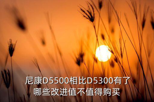  尼康D5500相比D5300有了哪些改進(jìn)值不值得購(gòu)買(mǎi)