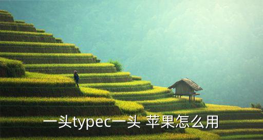 一頭typec一頭 蘋果怎么用