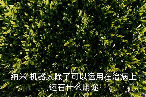 醫(yī)學(xué)納米機(jī)器人