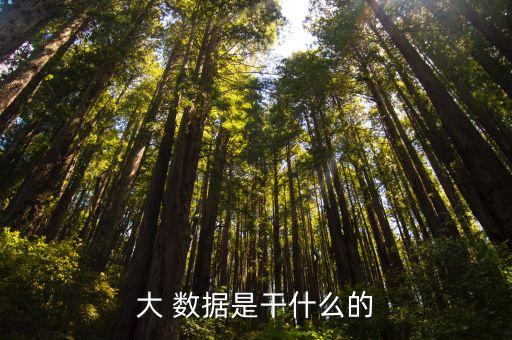 大數(shù)據(jù)與運(yùn)維關(guān)系描述