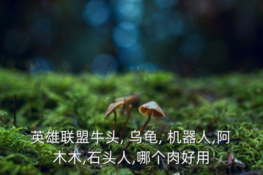 英雄聯(lián)盟牛頭, 烏龜, 機(jī)器人,阿木木,石頭人,哪個(gè)肉好用