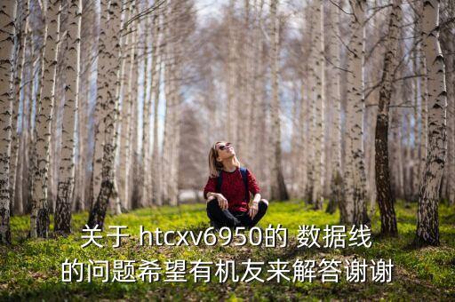 關(guān)于 htcxv6950的 數(shù)據(jù)線的問題希望有機(jī)友來解答謝謝