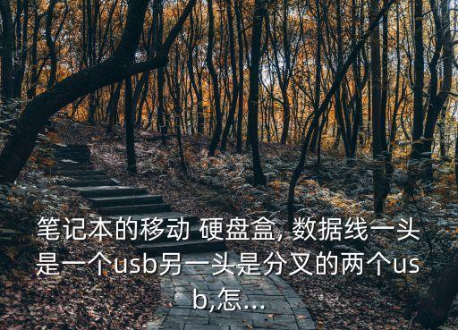 睿品 移動(dòng)硬盤(pán) 雙頭數(shù)據(jù)線,移動(dòng)硬盤(pán)的雙頭usb數(shù)據(jù)線有什么用