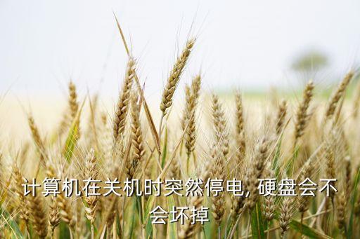 硬盤斷電后數(shù)據(jù)會丟失嗎,機械硬盤斷電數(shù)據(jù)能保存多久
