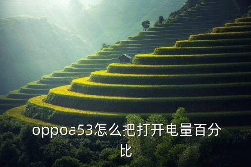  oppoa53怎么把打開電量百分比