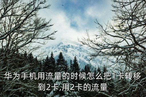 華為手機用流量的時候怎么把1卡轉(zhuǎn)移到2卡,用2卡的流量