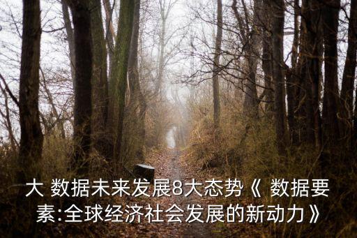 大 數(shù)據(jù)未來(lái)發(fā)展8大態(tài)勢(shì)《 數(shù)據(jù)要素:全球經(jīng)濟(jì)社會(huì)發(fā)展的新動(dòng)力》