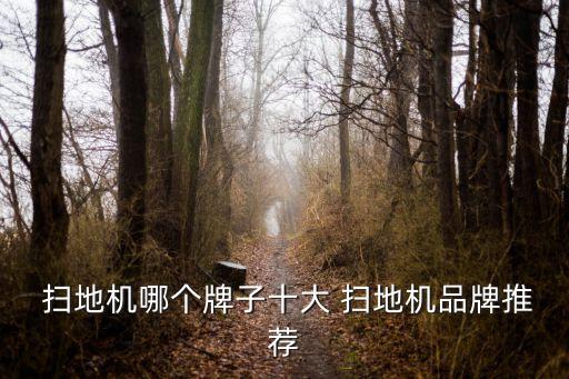  掃地機哪個牌子十大 掃地機品牌推薦