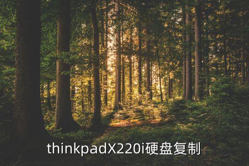 thinkpadX220i硬盤(pán)復(fù)制