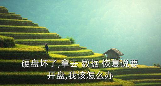 硬盤壞了,拿去 數(shù)據(jù) 恢復(fù)說要 開盤,我該怎么辦
