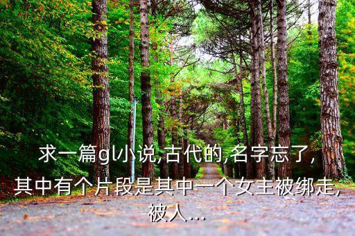 求一篇gl小說,古代的,名字忘了,其中有個片段是其中一個女主被綁走,被人...