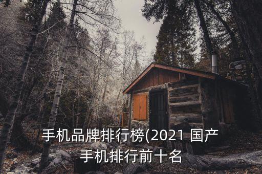  手機品牌排行榜(2021 國產(chǎn) 手機排行前十名