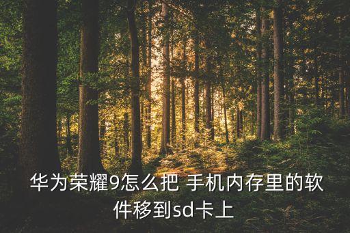  華為榮耀9怎么把 手機內(nèi)存里的軟件移到sd卡上