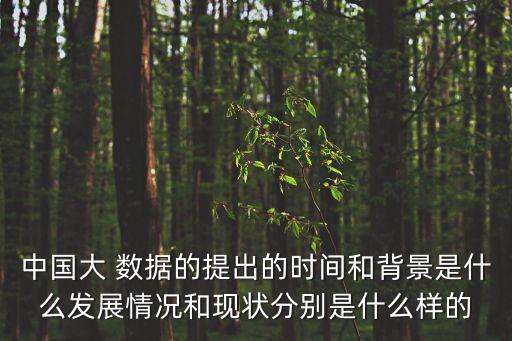 大數(shù)據(jù)幾幾年創(chuàng)立,幾幾年創(chuàng)立的