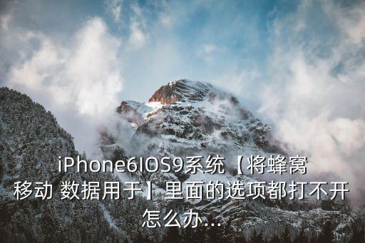 ios9允許數(shù)據(jù)設(shè)置在哪