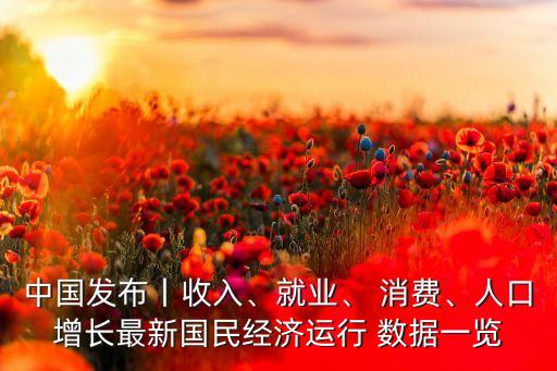 中國2.3線城市消費(fèi)數(shù)據(jù),中國城市消費(fèi)排名前50