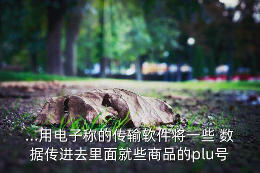 ...用電子稱(chēng)的傳輸軟件將一些 數(shù)據(jù)傳進(jìn)去里面就些商品的plu號(hào)