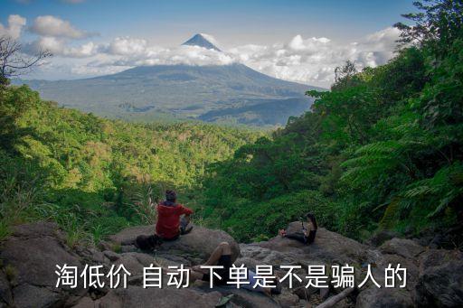 淘低價(jià) 自動(dòng) 下單是不是騙人的