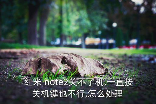  紅米 note2關(guān)不了機(jī),一直按關(guān)機(jī)鍵也不行,怎么處理