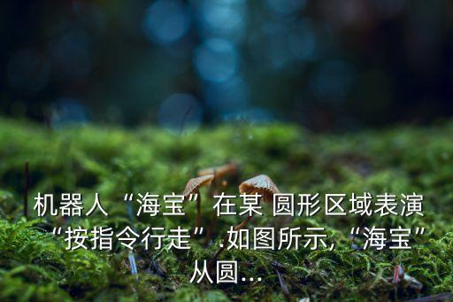  機(jī)器人“海寶”在某 圓形區(qū)域表演“按指令行走”.如圖所示,“海寶”從圓...
