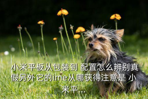  小米平板從包裝到 配置怎么辨別真假另外它的ime從哪獲得注意是 小米平...