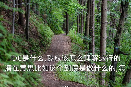 IDC是什么,我應該怎么理解這行的潛在意思比如這個到底是做什么的,怎...