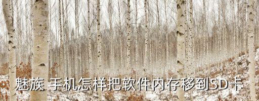 魅族 手機(jī)怎樣把軟件內(nèi)存移到SD卡