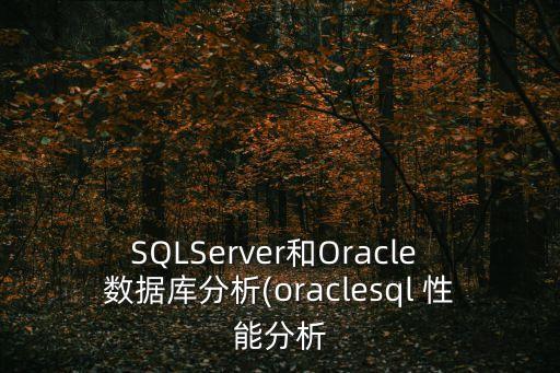 SQLServer和Oracle 數(shù)據(jù)庫(kù)分析(oraclesql 性能分析