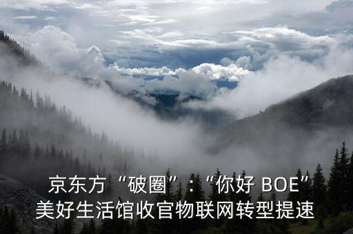  京東方“破圈”:“你好 BOE”美好生活館收官物聯(lián)網(wǎng)轉(zhuǎn)型提速