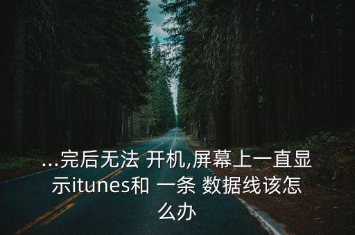 ipad為什么開機出現(xiàn)一條數(shù)據(jù)線