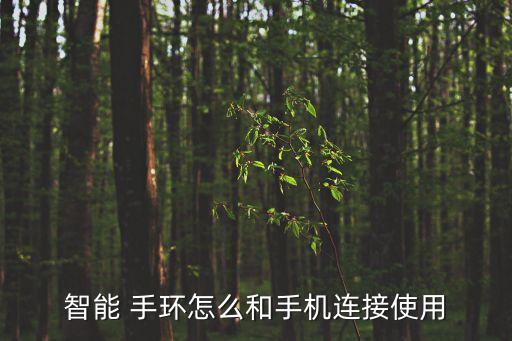 華米手環(huán)可以離線數(shù)據(jù)嗎