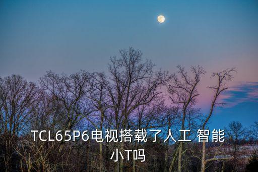 TCL65P6電視搭載了人工 智能小T嗎