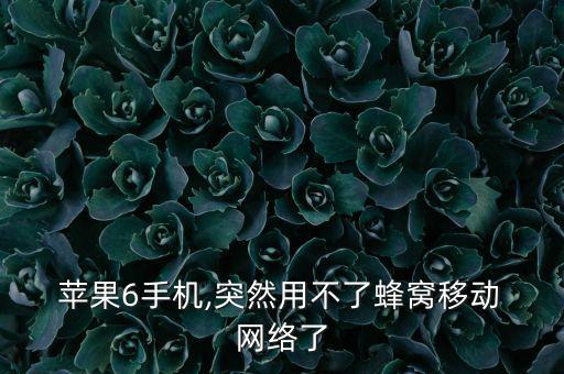  蘋(píng)果6手機(jī),突然用不了蜂窩移動(dòng) 網(wǎng)絡(luò)了