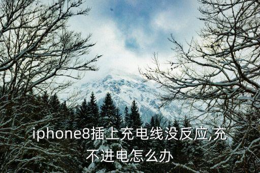 iphone8插上充電線沒反應(yīng),充不進電怎么辦