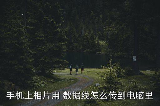 數(shù)據(jù)線拍照
