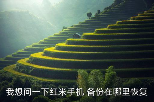 我想問一下紅米手機(jī) 備份在哪里恢復(fù)