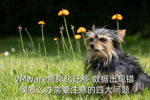 VMware虛擬化遷移 數(shù)據(jù)出現(xiàn)錯(cuò)誤怎么辦需要注意的四大問(wèn)題