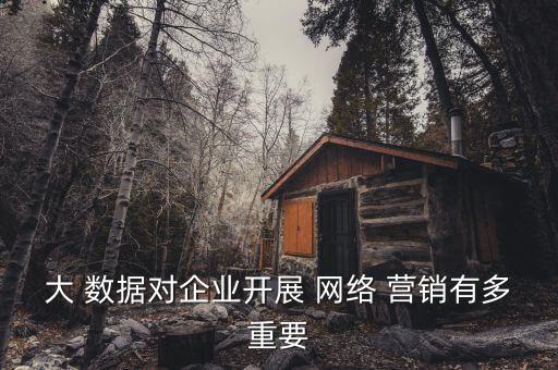 大數(shù)據(jù)與網(wǎng)絡(luò)營銷