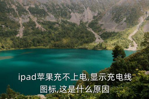  ipad蘋果充不上電,顯示充電線圖標,這是什么原因