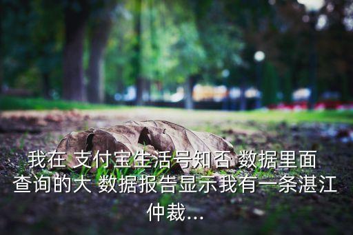 我在 支付寶生活號知否 數(shù)據(jù)里面 查詢的大 數(shù)據(jù)報告顯示我有一條湛江仲裁...