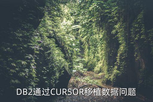 DB2通過CURSOR移植數(shù)據(jù)問題