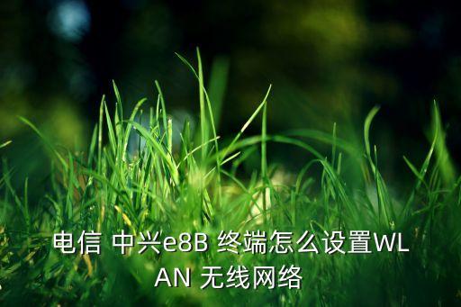 中興無線數(shù)據(jù)終端管理,中興td-lte無線數(shù)據(jù)終端說明書